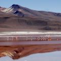 Laguna de Bolivie.jpg