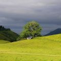 Serge Blanchard-plateau du Benou.jpg