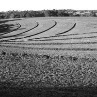 09-Grard Lopez_Regain.jpg