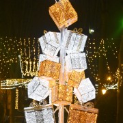 Illuminations_01_JL Nohales.JPG