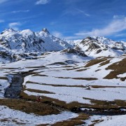 jpbastaert an�ou.jpg