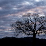 P. Berdou Heure bleue .jpg