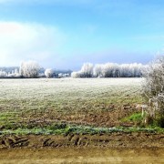 DSC05680 Tours Roland Thuault.jpg