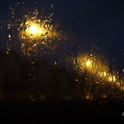 Estelle-Doconinck-depuis la fen�tre.JPG