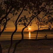 P. Berdou lumi�res du soir.jpg