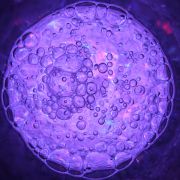 bulles en couleurs.JPG