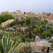 Eze village Jardin exotique.H Turonnet.jpg