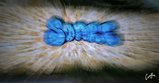 thumbnails/006-Bleu  ... Jean C. 2026-09.jpeg.small.jpeg