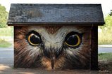 thumbnails/020-PascalePeutin-ChouetteHerrere.jpeg.small.jpeg