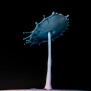 _NZ80742.jpg
