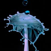 _NZ80755.jpg