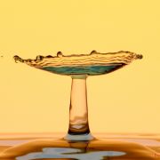 Daniel Ch�reau_7A7A4540.jpeg