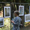 2024-08-11_Parc-Pomm-5.jpg