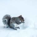 DSC_8606_01.jpg