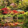 Giverny Roland Thuault.jpg