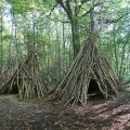 1. Cabannes dans un sous bois..jpg