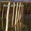 Affiche Expo 2025 Bois & Forets.jpg