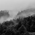 DSC_2660.jpg