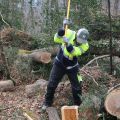 JM PONTACQ_Bois de Chauffage-2.jpg