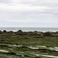310A0097.jpg
