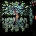 20_Bassins-de-lumieres_05-2024.jpg