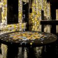 23_Bassins-de-lumieres_05-2024.jpg