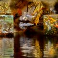 58_Bassins-de-lumieres_05-2024.jpg