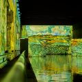 63_Bassins-de-lumieres_05-2024.jpg