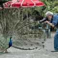 DSC_0914.jpg