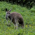 DSC_1085.jpg