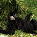IMG_7122-ddp4-cut.JPG