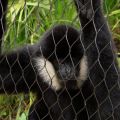 IMG_7127-ddp4-cut.JPG