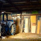 11Estelle deconink.JPG