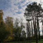 18Jean-Marie Pontacq.jpg