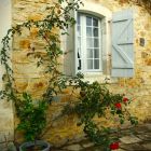 30Estelle deconink.JPG