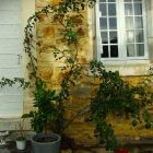 31Estelle deconink.JPG