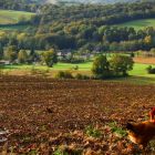 7Estelle deconink.JPG