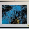 23-Vernissage-expo-2025.jpg