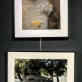 24-Vernissage-expo-2025.jpg