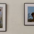 26-Vernissage-expo-2025.jpg