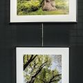 29-Vernissage-expo-2025.jpg